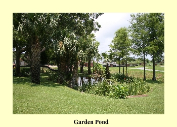 Garden Pond