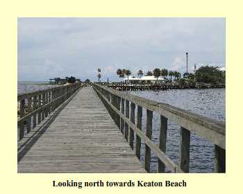 Looking north towards Keaton Beach