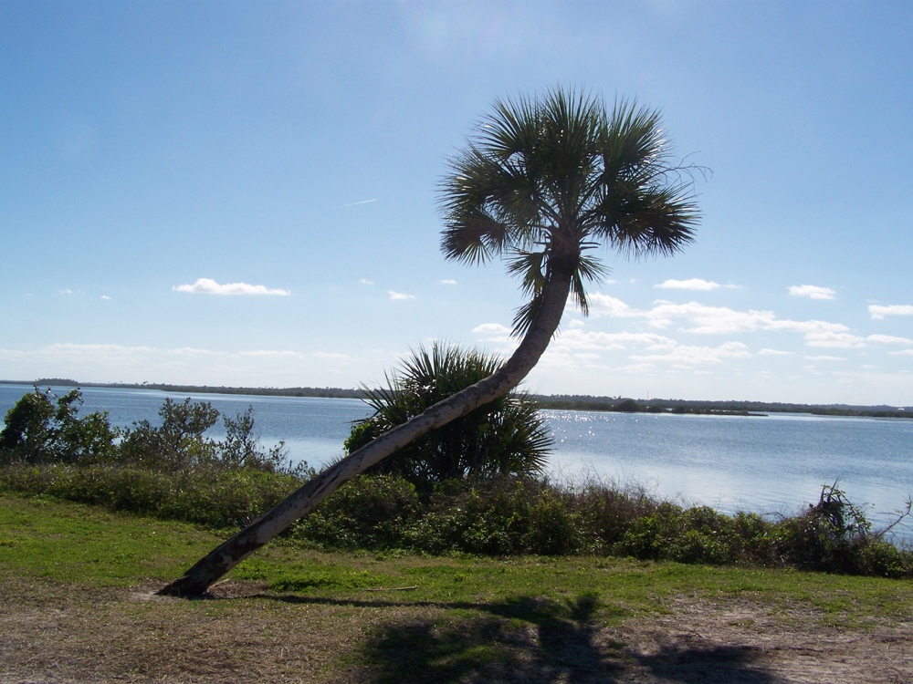 Canaveral National Seashore