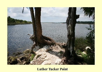 Luther Tucker Point