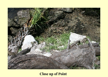 Close up of Point