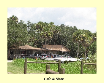 Cafe & Store