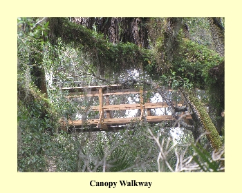 Canopy Walkway