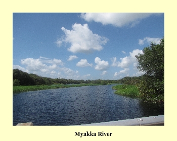 Myakka River