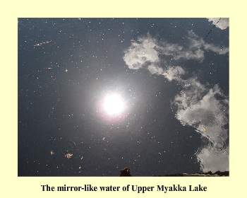 The mirror like water of Upper Myakka Lake