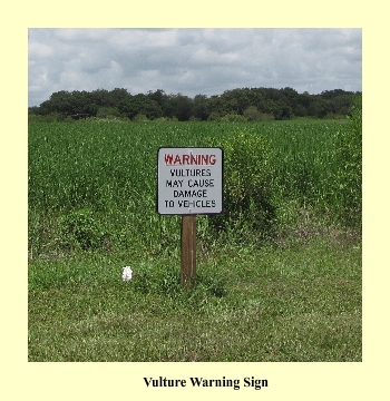 Vulture Warning Sign