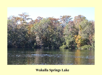 Wakulla Springs Lake