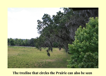 The treeline that encircles the Prairie can also be seen