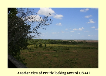 Another view of the Prairie looking toward US 441