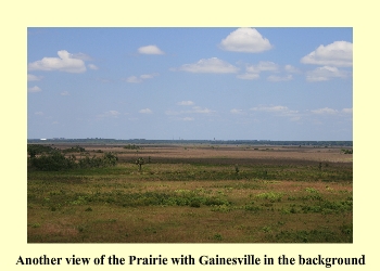 Another view of the Prairie with Gainesville in the background