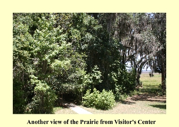 Another view of the Prairie from Visitor's Center