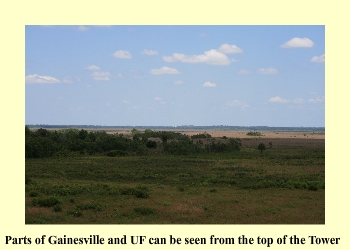 Parts of Gainesville and UF can be seen from the top of Tower