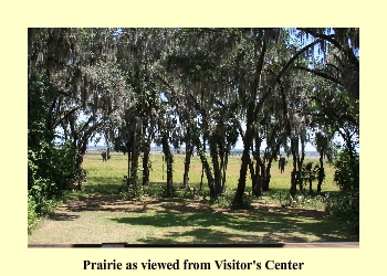 Prairie as viewed from Visitor's Center