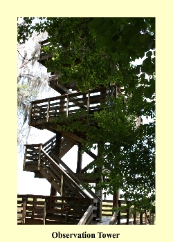 Observation Tower