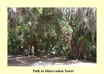 Path to Observation Tower