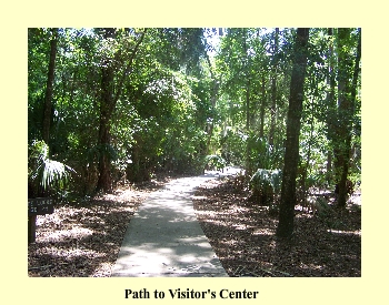 Path to Visitor's Center