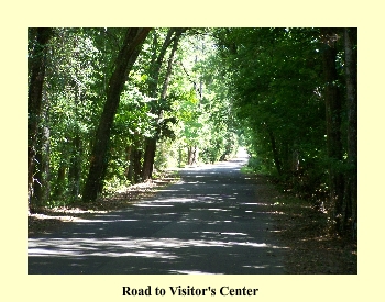 Road to Visitor's Center