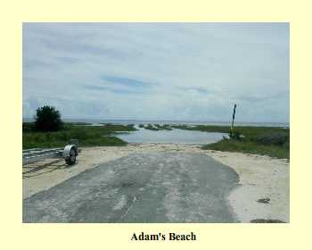 Adam's Beach