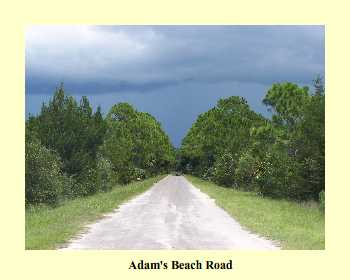 Adam's Beach Road