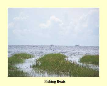 Fishing Boats