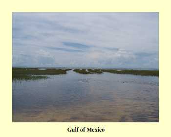 Gulf of Mexico