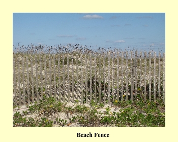 Beach Fence