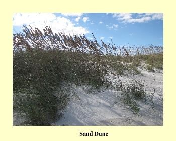 Sand Dune