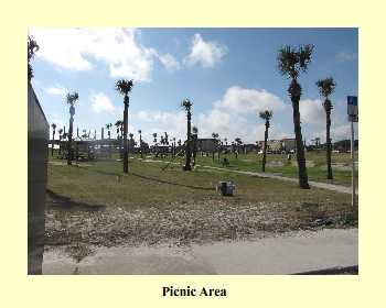 Picnic Area