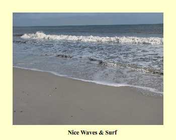 Nice Waves & Surf