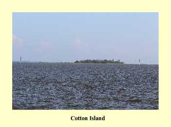 Cotton Island