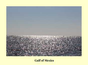 Gulf of Mexico