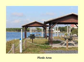 Picnic Area