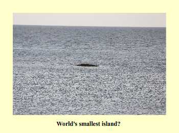 World's smallest island?