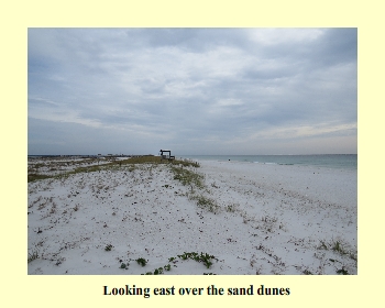 Looking east over the sand dunes