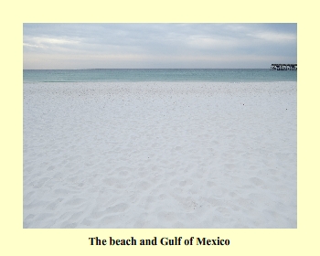 The beach and Gulf of Mexico