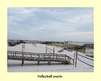 Volleyball courts