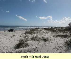 Beach with Sand Dunes