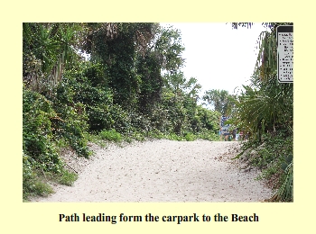 Path leading form the carpark to the Beach