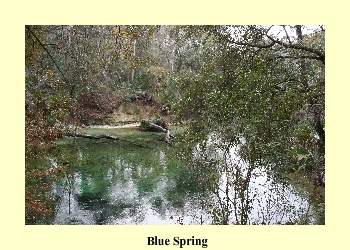 Blue Spring