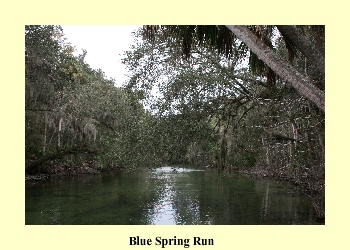 Blue Spring Run