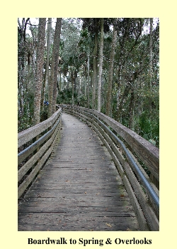 Boardwalk to Spring & Overlooks