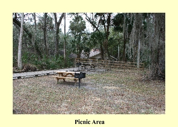 Picnic Area