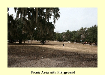 Picnic Area with Playground