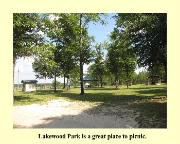 Lakewood Park is a great place to Picnic