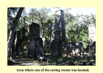 Area where one of the curing rooms was located.