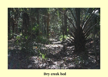 Dry creek bed