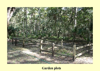 Garden plots