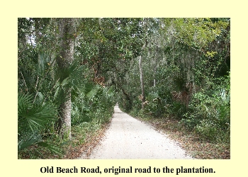 Old Beach Road, original road to the plantation.