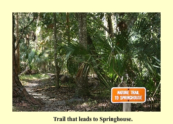 Trail that leads to Springhouse.