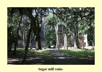 Sugar mill ruins